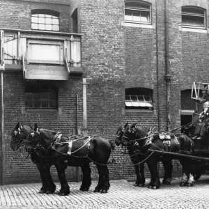 Horse Drawn Delivery Wagon at Paddington Mint Stables, c. 1910