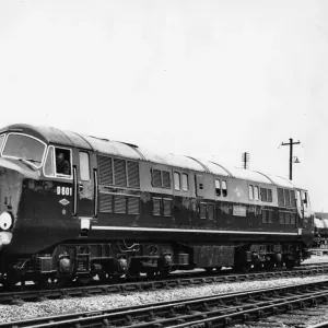 No D601 Ark Royal Print - Diesel Hydraulic Locomotive No D601 Ark Royal Print - Diesel Hydraulic Locomotive