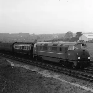 No D801 Vanguard Print - Diesel Locomotive Class 42 No D801 Vanguard Print - Diesel Locomotive Class 42