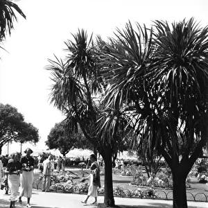 Pavilion Gardens, Torquay, August 1936
