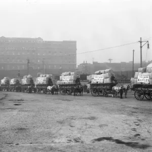 Paddington Goods Depot Print: Horse-Drawn Carts with Witney Blankets Paddington Goods Depot Print: Horse-Drawn Carts with Witney Blankets
