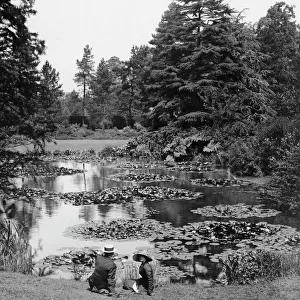 Waterlily Pond, Royal Botanic Gardens, Kew, ca 1900