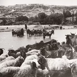 1943 Syria - Hama on the river Orontes