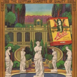 Advert for Milo Cigarettes, 1915