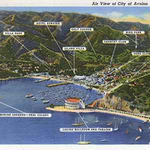 Aerial view, Santa Catalina Island, California, USA