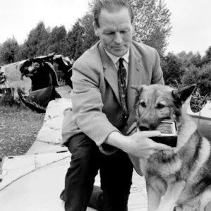 Air crash investigator with sniffer dog