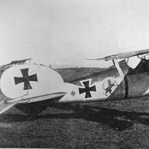 Albatros D V German fighter plane of Oblt Schliech