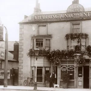 The Albion Hotel (public house), East Molesey, Surrey