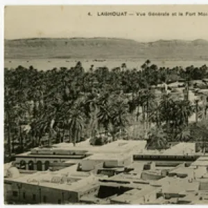 Algeria Collection: Laghouat