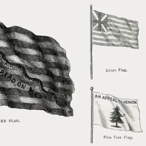 America - Revolutionary Flags