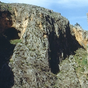 Amud Cave, Israel