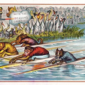 Animals in boat race on a Christmas card
