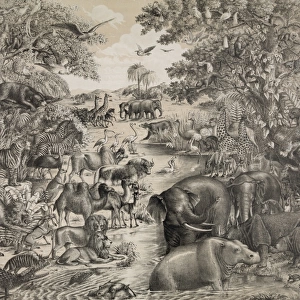 Animals for Noahs ark