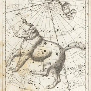 Astronomical chart of the constellations of