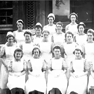 ?At Preliminary Training School? Formal group of 19 nurses