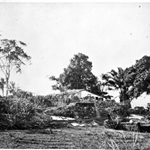 Bahia public gardens, Bahia, Brazil, South America 1873