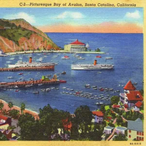 Bay of Avalon, Santa Catalina Island, California, USA