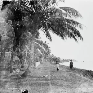 Beach on the Island of Tonga