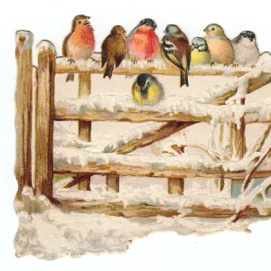 Birds perched on a gate on a cutout Christmas card