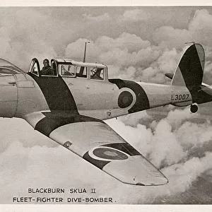 Blackburn Skua II - Fleet-fighter Dive Bomber