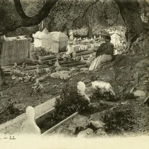 Algeria Collection: Blida