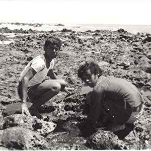Boy Scouts on Ascension Island, South Atlantic