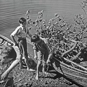 Boys with boat full of tree branches