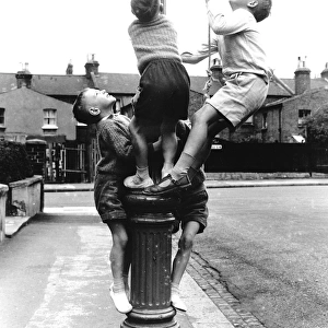 Boys on a lamp post on a Balham street, SW London