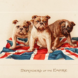Three British bulldogs on a greetings card