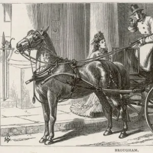 Brougham Lady 1872