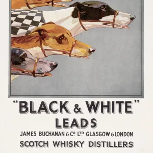 Buchanans Whisky Advert