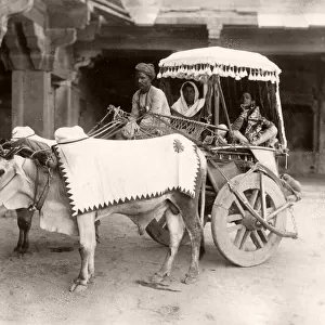 Bullock cart, carriage, ekka, India, c. 1890 s
