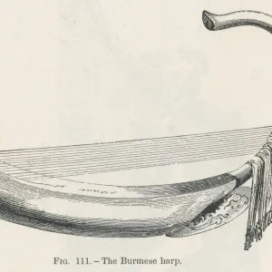 Burmese Harp