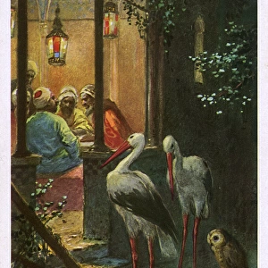 Caliph Stork, an eastern tale