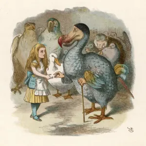 Carroll / Alice & the Dodo