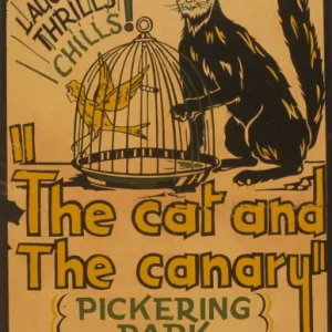 Film and Movie Posters: The Cat and the Canary