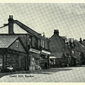 Chalet Hill, Bordon, Hampshire