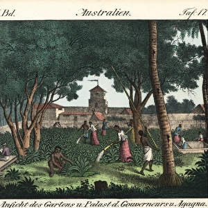 Chamorro natives working in the gardens of Agagna, Guam