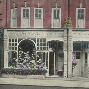 Charles Wood and Son - Florists