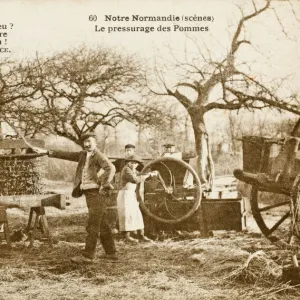 Cider Press - Normandy