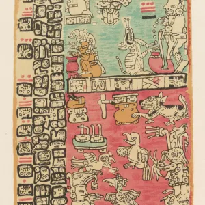 Mayan Mayan