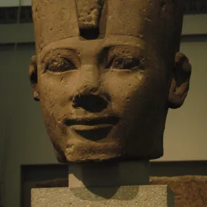 Colossal head problably from Thutmose I. Egypt