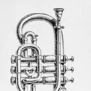 Cornet on its Own