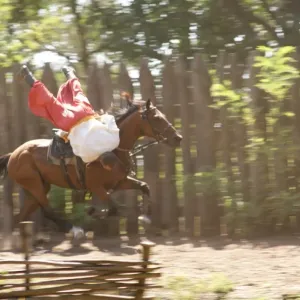 30+ Zaporozhian Cossacks Letter