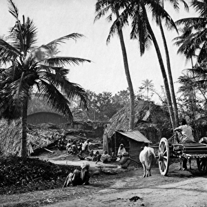 Country scene, Bengal, India