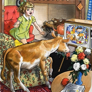 Cow watching the television