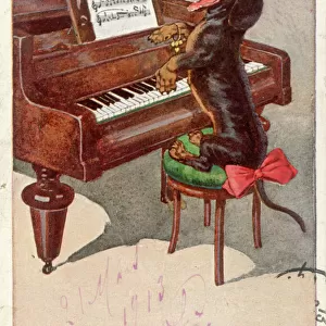 Dachshund and Piano