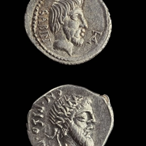 Denarii with portraits of Titus Tatius and Numa