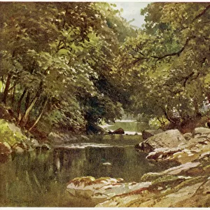Devon / Tavy River 1909