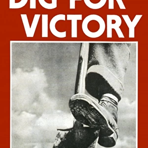 Dig for Victory poster - WWII